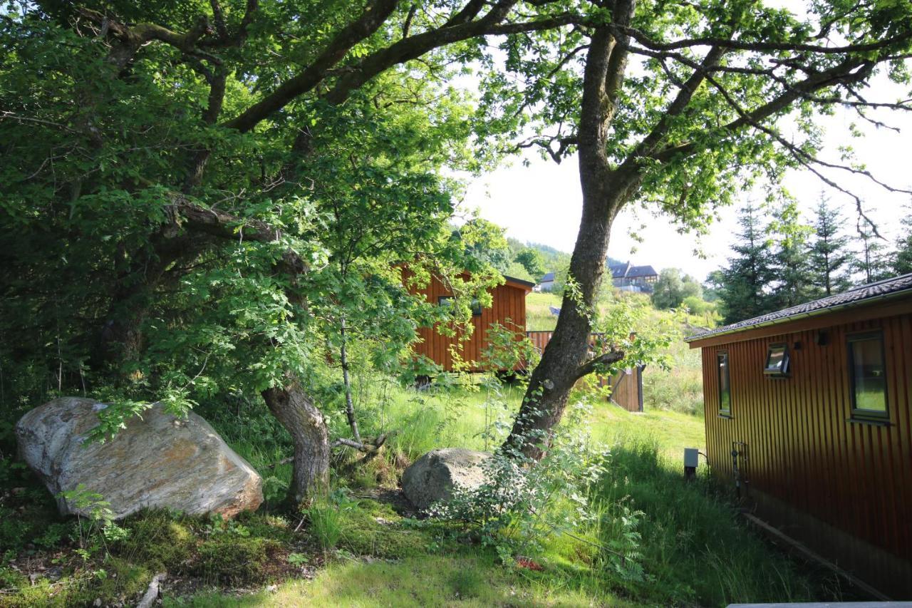 Balquhidder Braes Holiday Park Lodges, Mostly With Hot Tubs And Pet Friendly, Ev Facilities Lochearnhead Zewnętrze zdjęcie